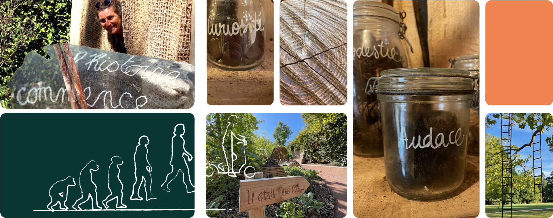 MontageActualite-2 ActualitéPhotos